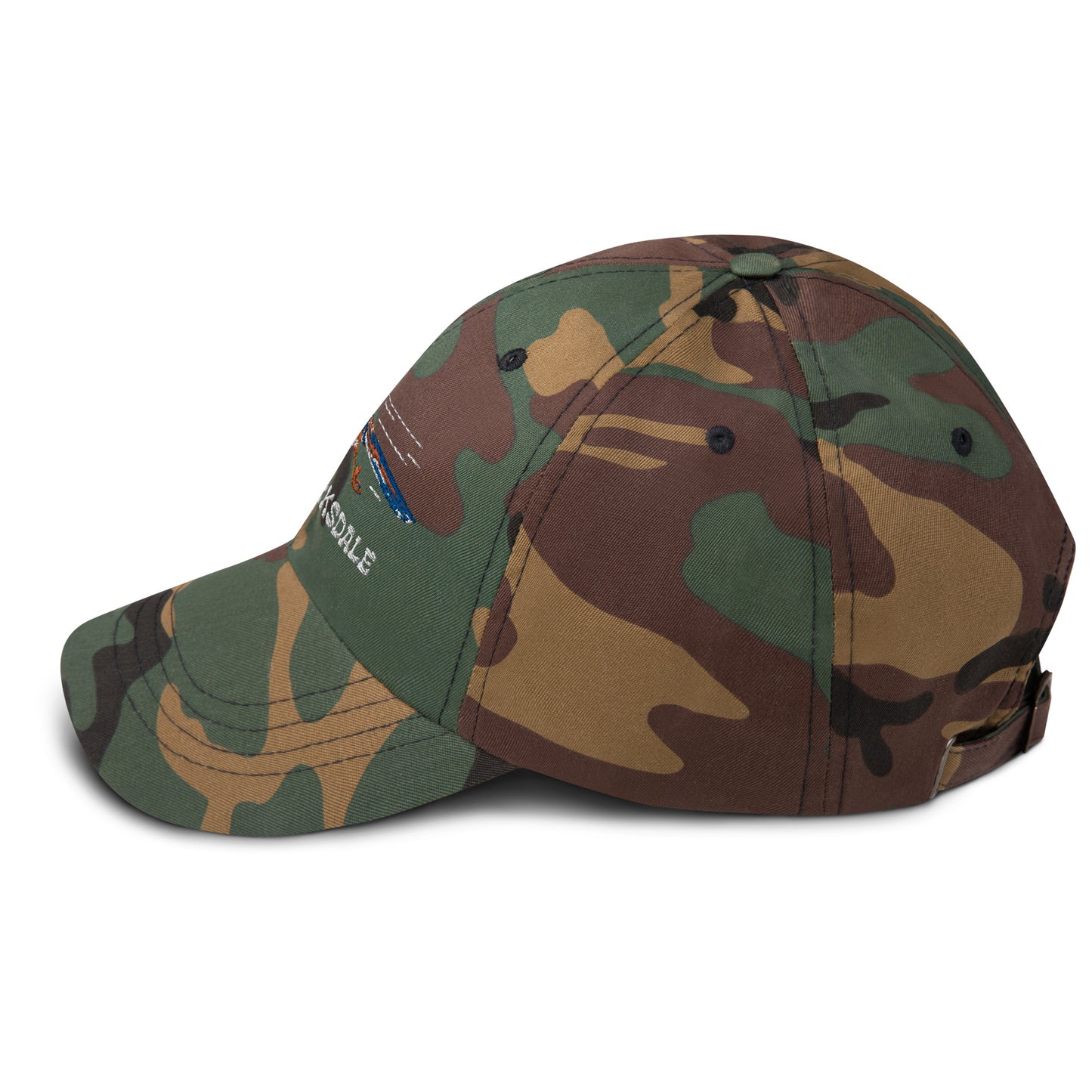 Roadrunner Dad Hat