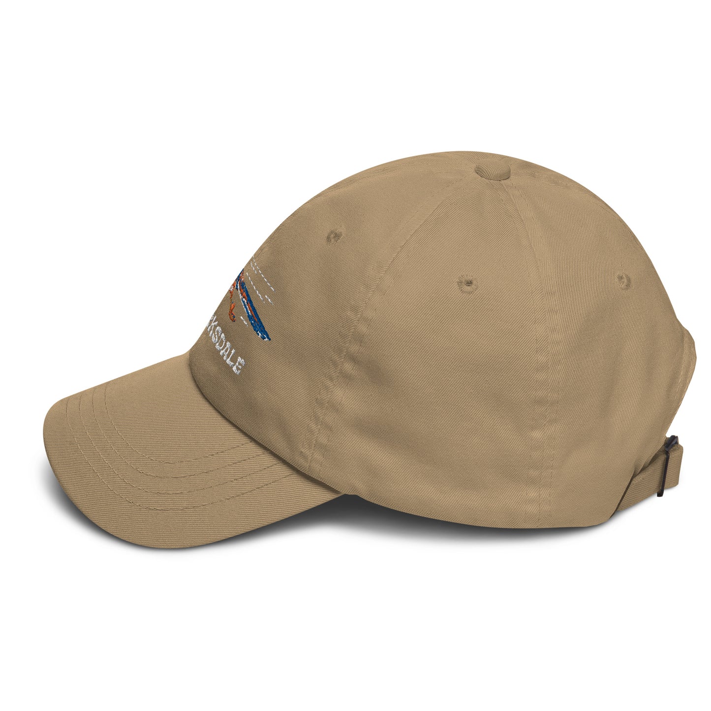 Roadrunner Dad Hat