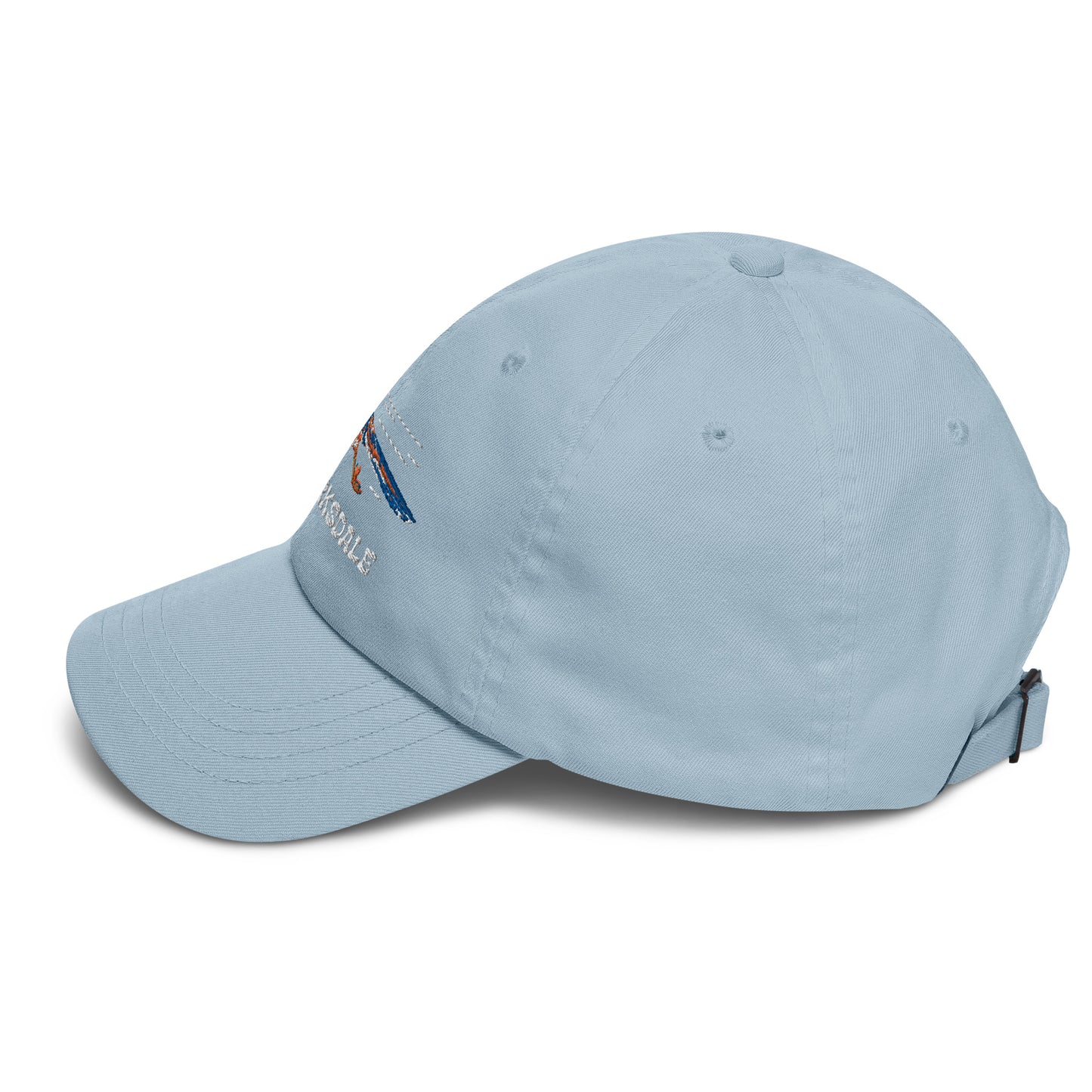 Roadrunner Dad Hat