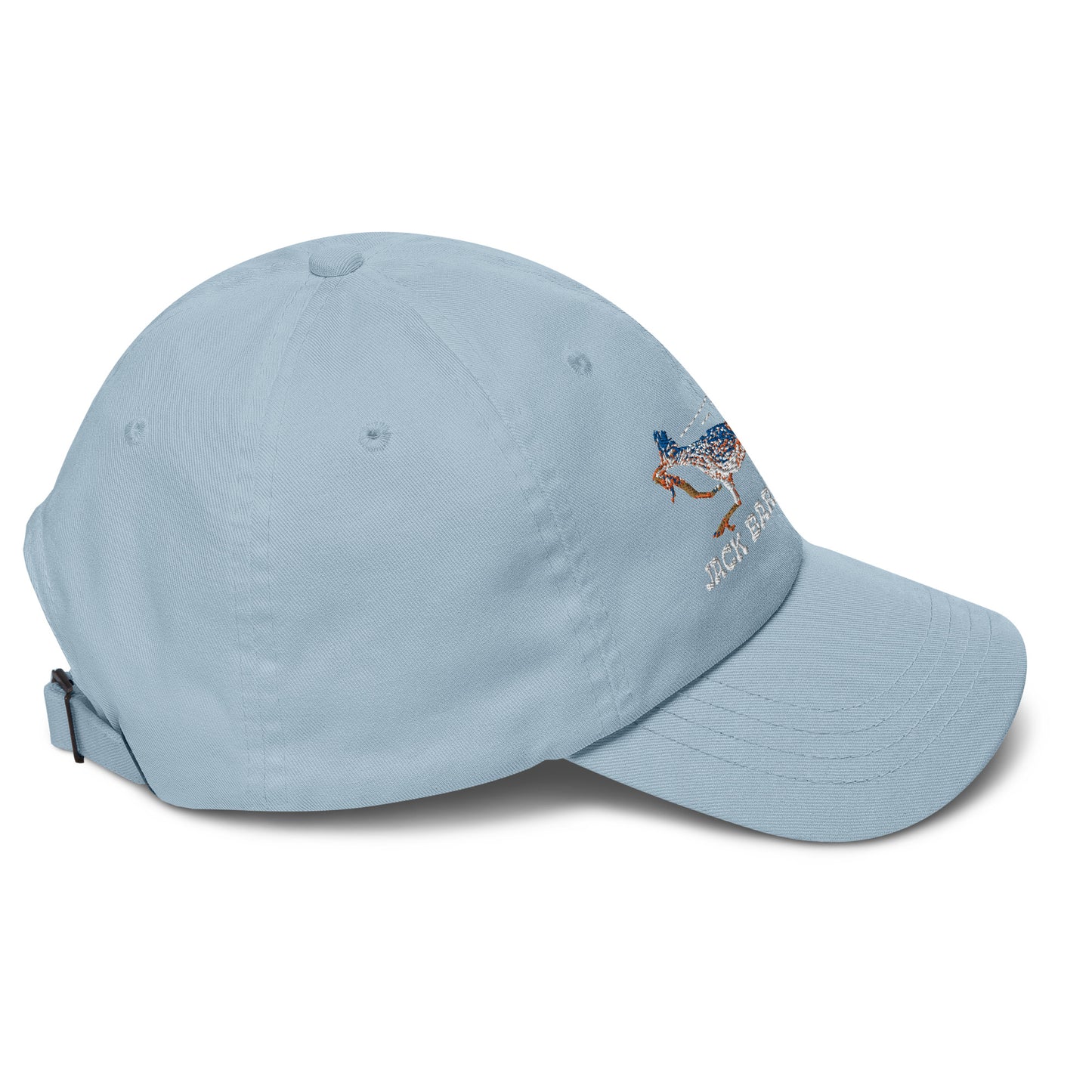 Roadrunner Dad Hat