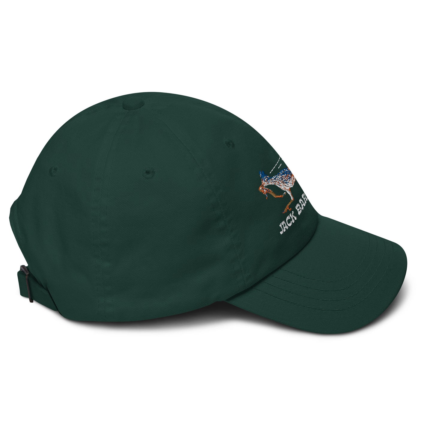 Roadrunner Dad Hat