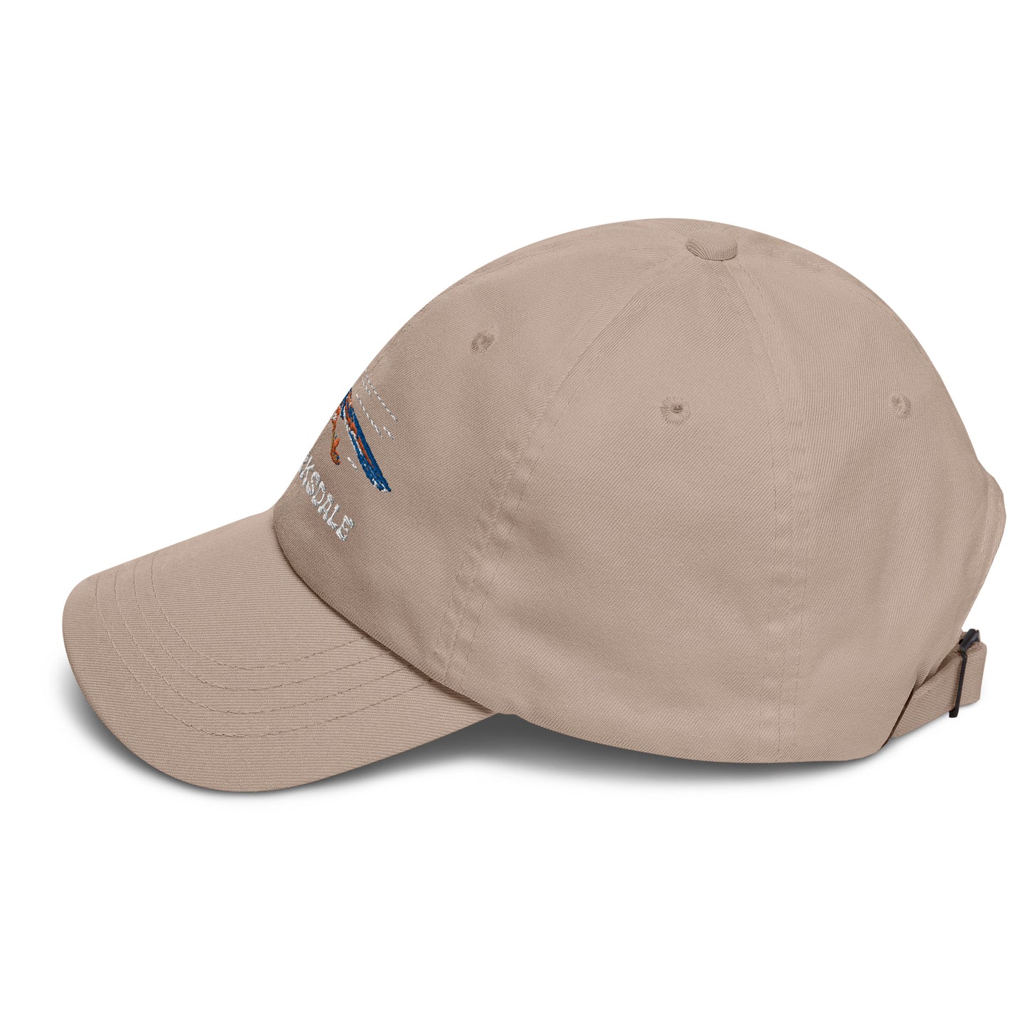 Roadrunner Dad Hat