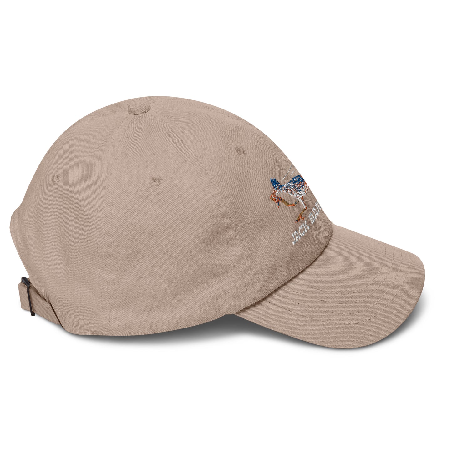 Roadrunner Dad Hat